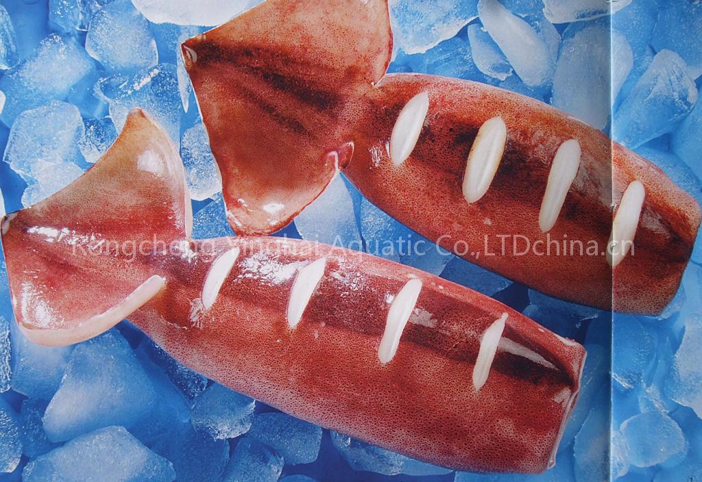 Cooked squid tube