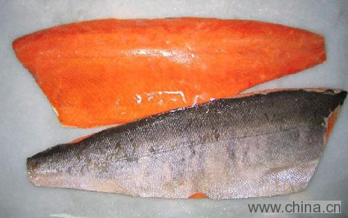 Chum Salmon Fillet