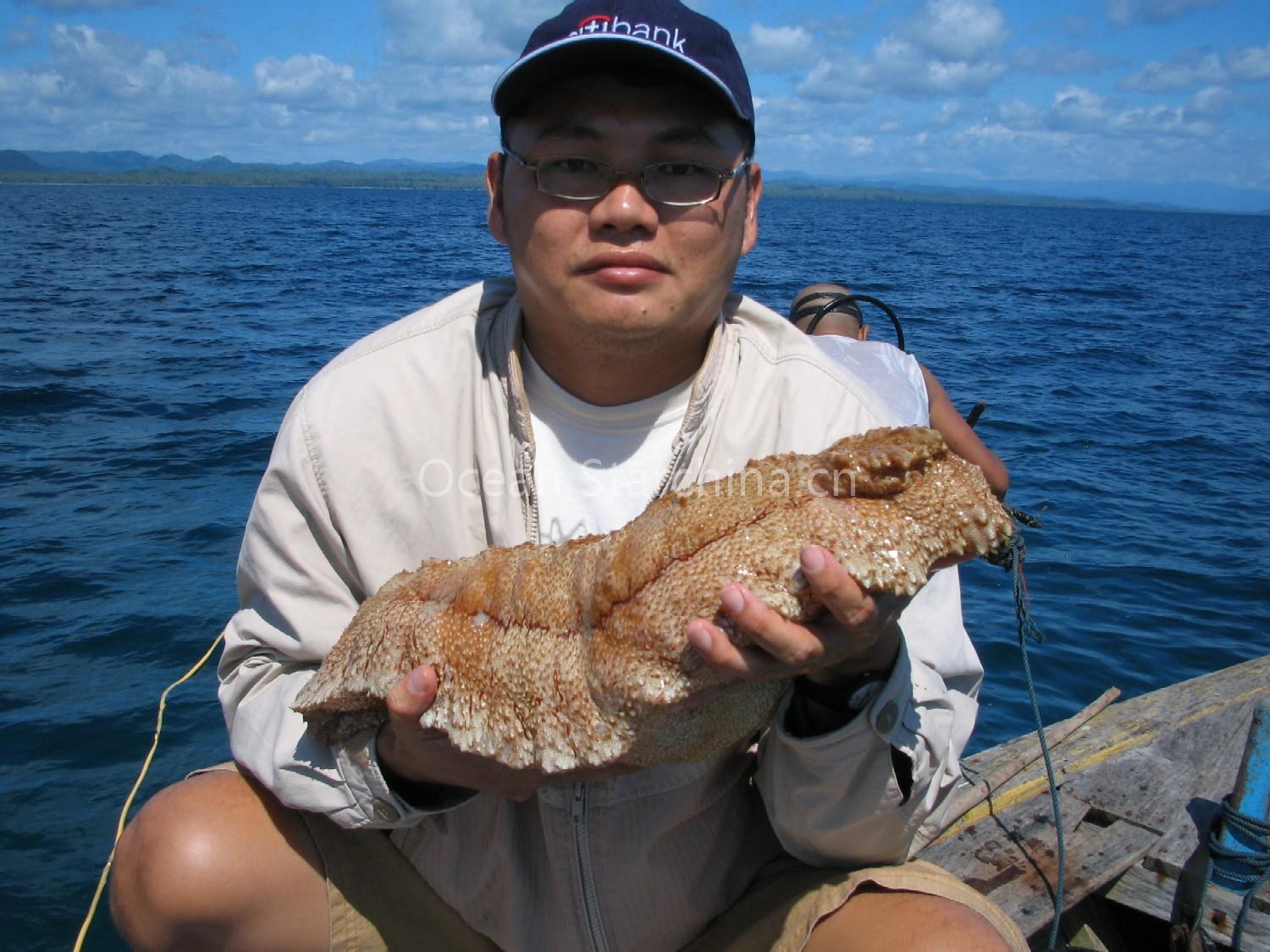 Dried Sea Cucumber
