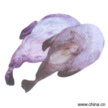 Monkfish