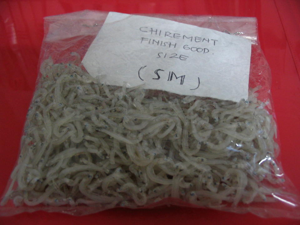Indonesia Dried Enchovy