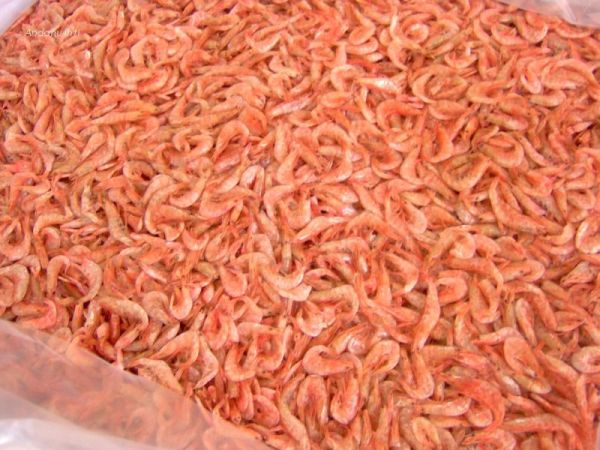 Indonesia Dried Shrimp