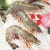Black Tiger Shrimp (Vietnam)