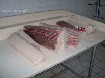 Indonesia Frozen Blue Shark Chunk