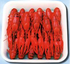 China (Mainland) Frozen crawfish,crayfish