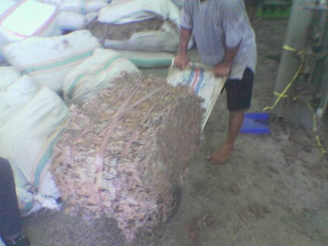 Indonesia Dried Seaweed