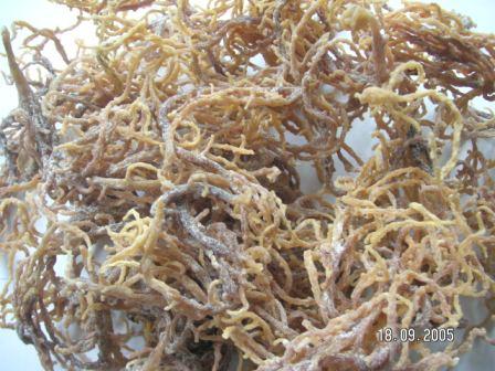 Indonesia Dry Seaweed