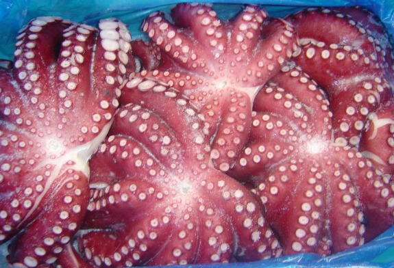 Japan Octopus, Cooked Frozen IQF