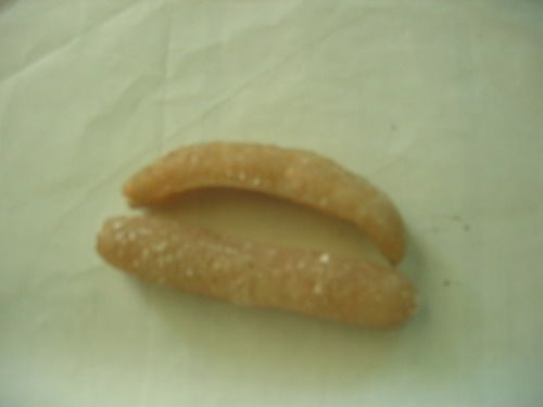 Vietnam Sea Cucumber