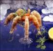 Saudi Arabia Shrimps