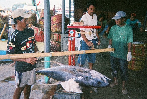 Australia Tuna