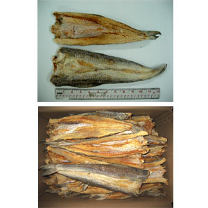Thailand Cobia Dried Fish (Panna)