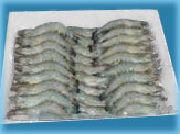 Vietnam Frozen Shrimp