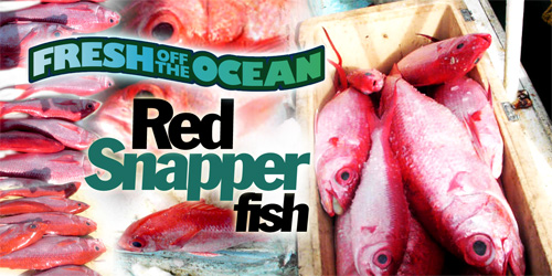 Tonga Snapper Fish