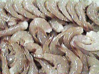 United States Vannamei Shrimp
