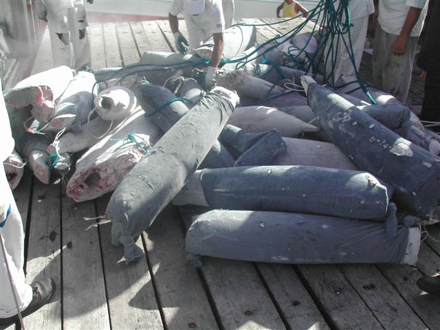 United States Fish