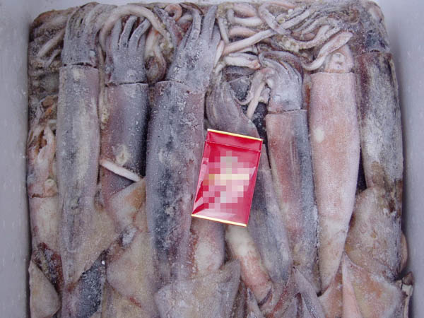 Russian Federation Frozen Squid