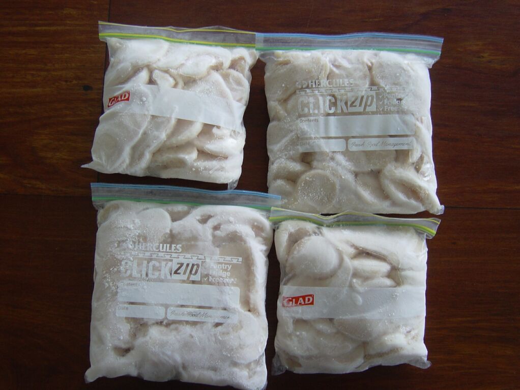 Australia Pearl Shell Meat