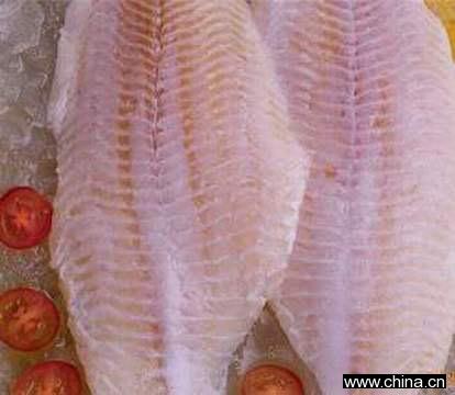 IQF Catfish Fillet