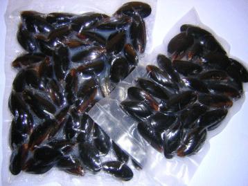 Chile Chilean Rope Grown Mussels