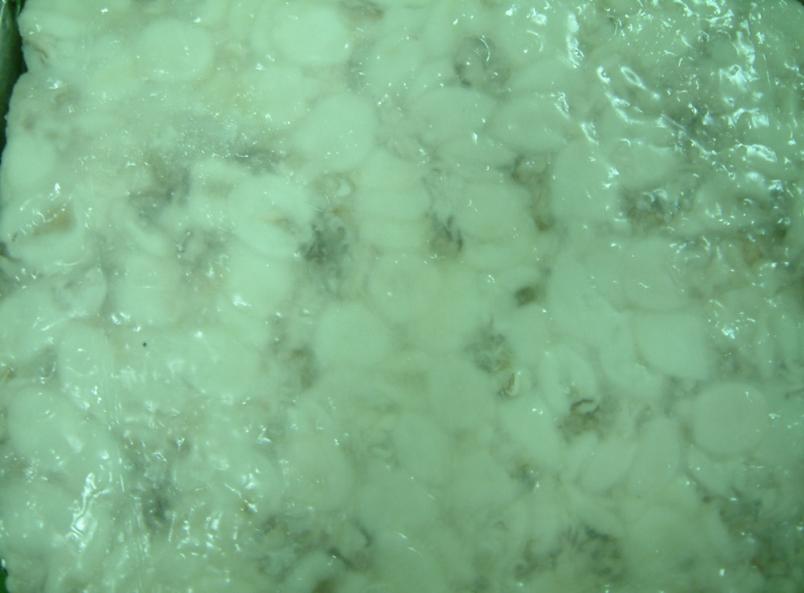 Thailand Frozen Seafood, Cuttlefish, Squid, Surimi, Sadines
