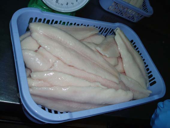 Thailand Basa Fish Fillet