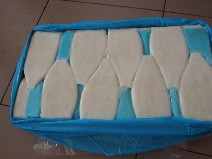 China (Mainland) Squid Tube