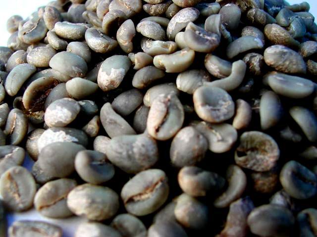 Indonesia Instant Coffee