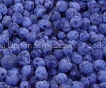 Blueberry Concentrate