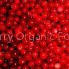 Lingonberry Powder