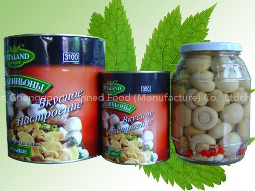 Cannd mushroom