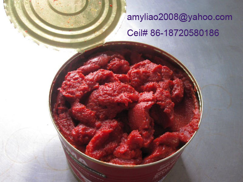 Canned Tomato Paste, Brix 22-24%,26-28%,28-30%,30-32%,36-38%