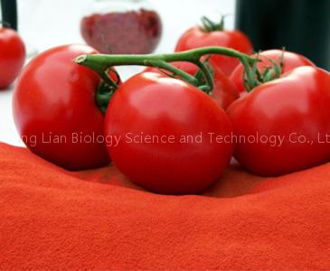 Aseptic bag tomato paste28-30% 30-32% HB CB 36-38%