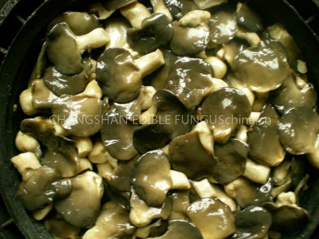 salted pleurotus ostreatus (oyster) mushrooms