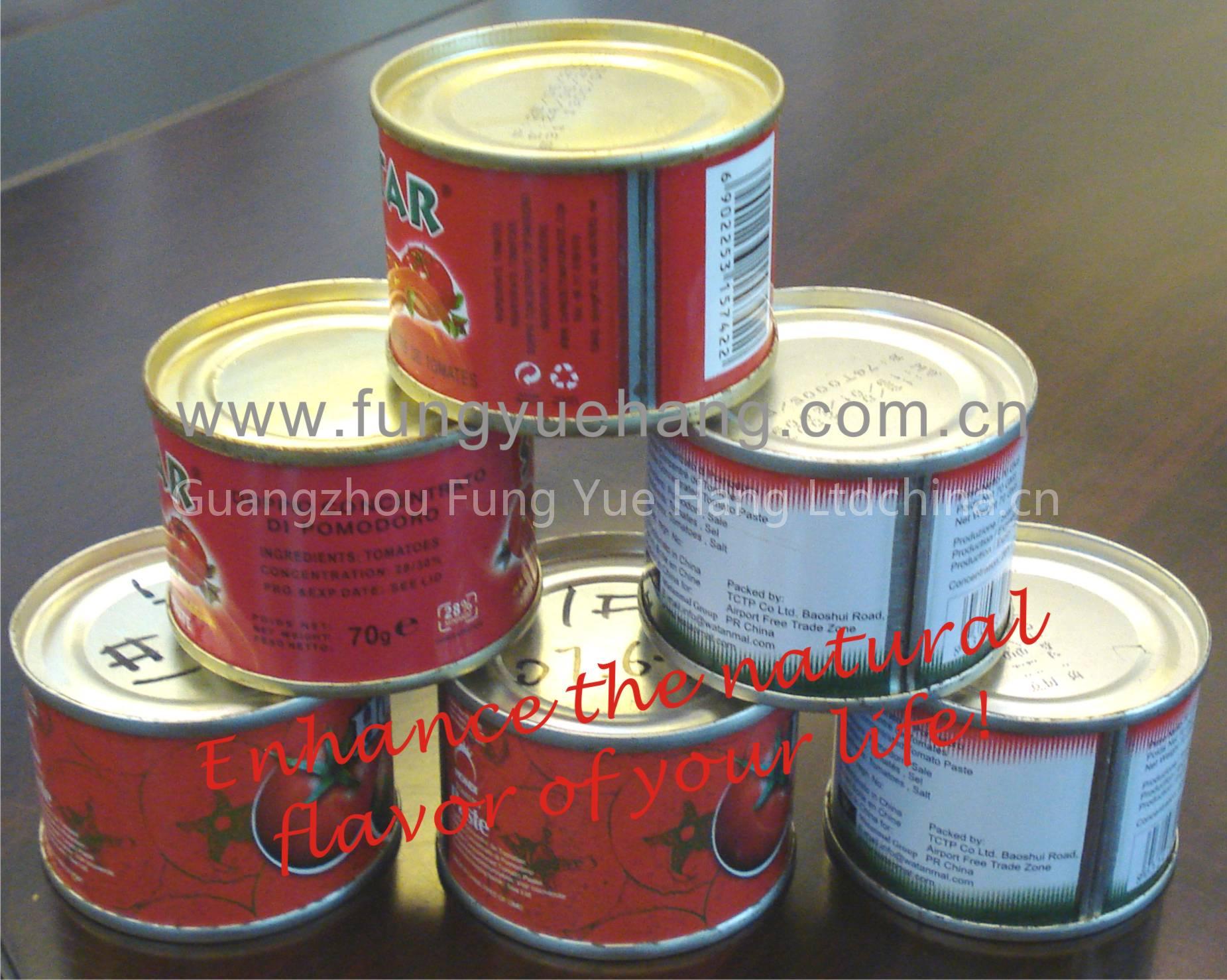 Tomato Paste