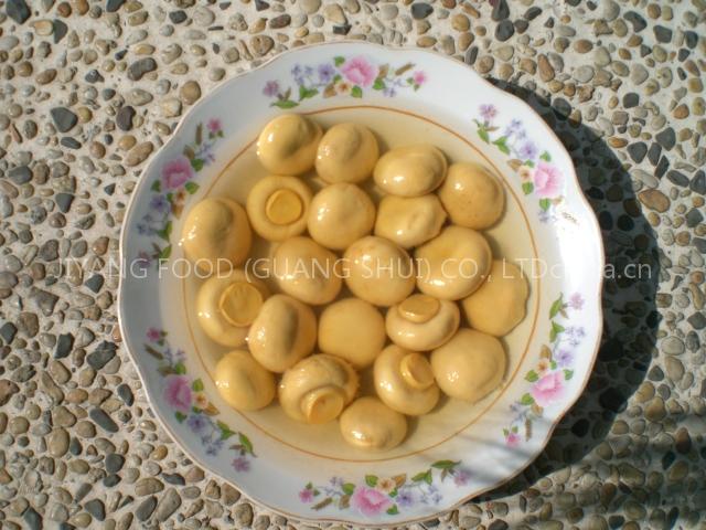 canned mushroom,canned pineapple,canned sweet corn