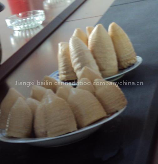 canned bamboo shoots