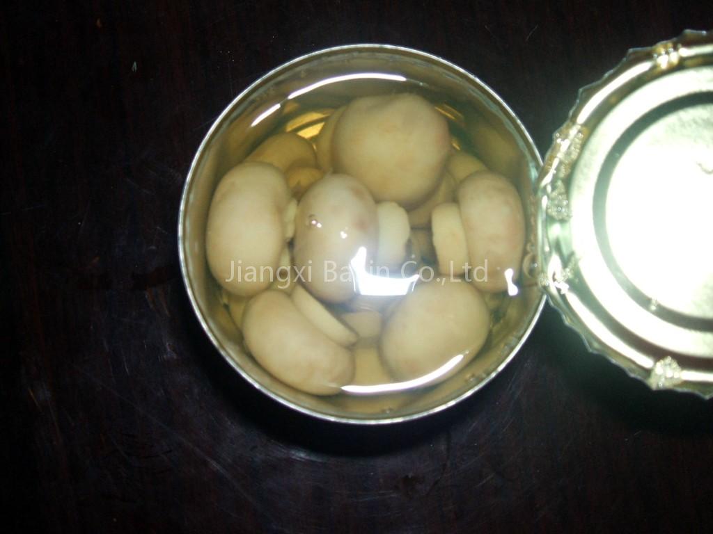 canned mushroom