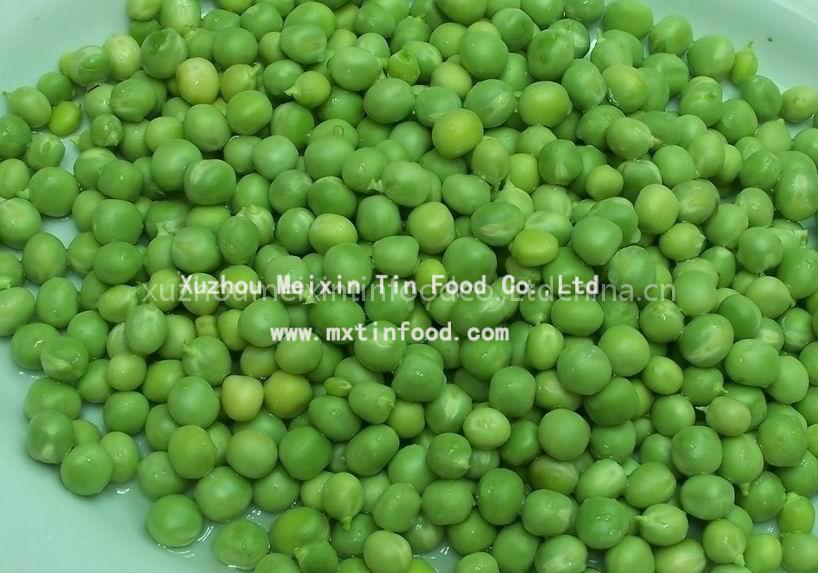 tinned bean (green) 800g*12tins
