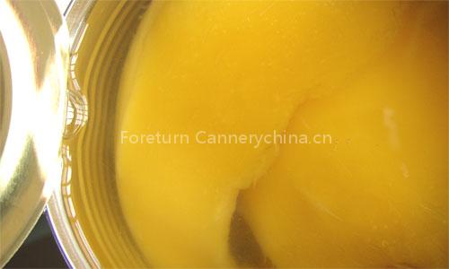 Canned Mango, bottled tropical fruit