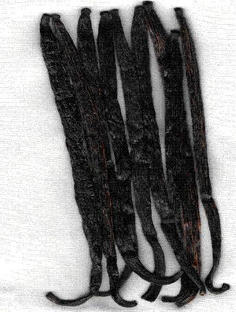 United States Vanilla Beans