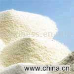 Milk Powder