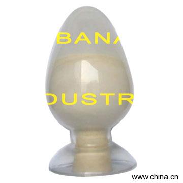 Rennet Casein