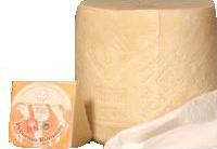 Italy \'\'Pecorino Romano\'\' Cheese - From Organic Sheep Milk