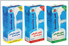 Egypt Fresh Milk