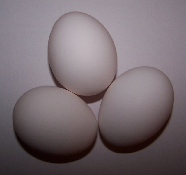 India Chicken Egg