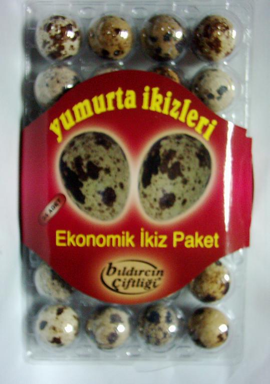 Turkey Quail Egg, Economic Twins