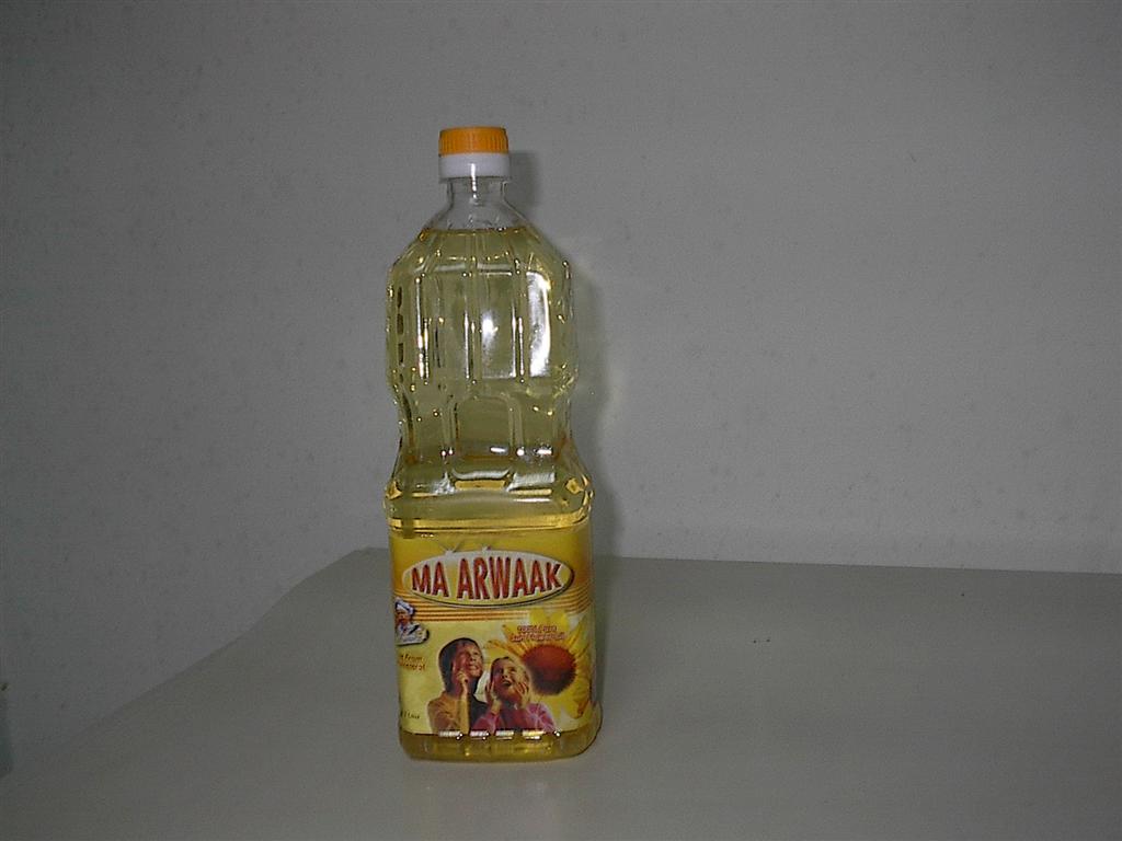 Egypt Ma Arwaak