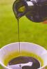 Pumpkin Seed Oil (Bulgaria)