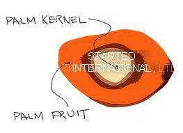 REFINED PALM KERNEL OIL (SRPKO001)